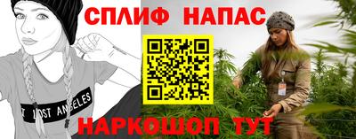 PSILOCYBIN Кинель