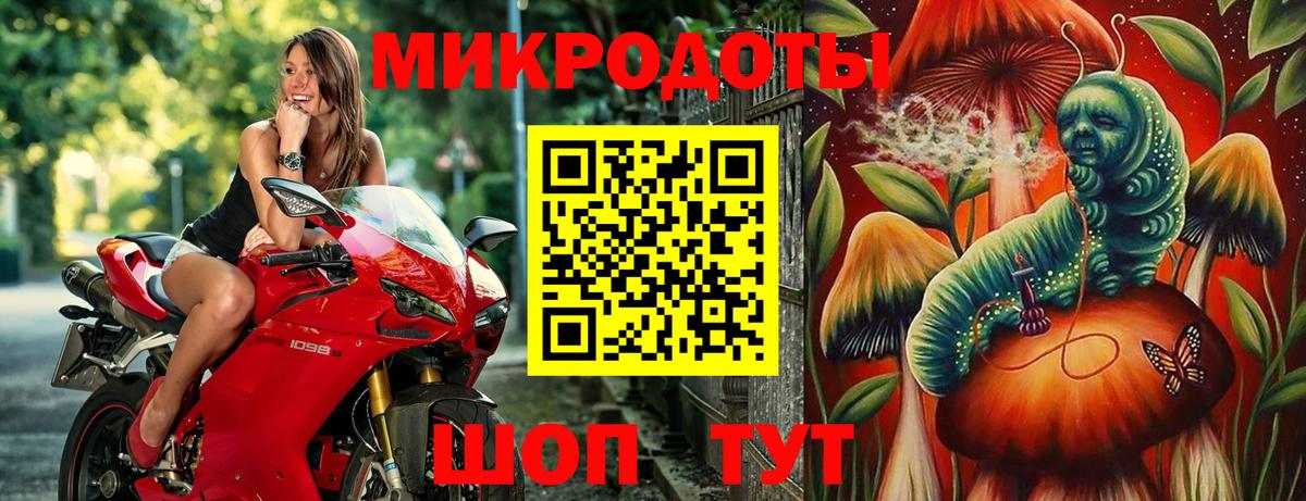 Псилоцибиновые грибы GOLDEN TEACHER  Галлюциногенные грибы GOLDEN TEACHER  Волгодонск  Вход с VPN 